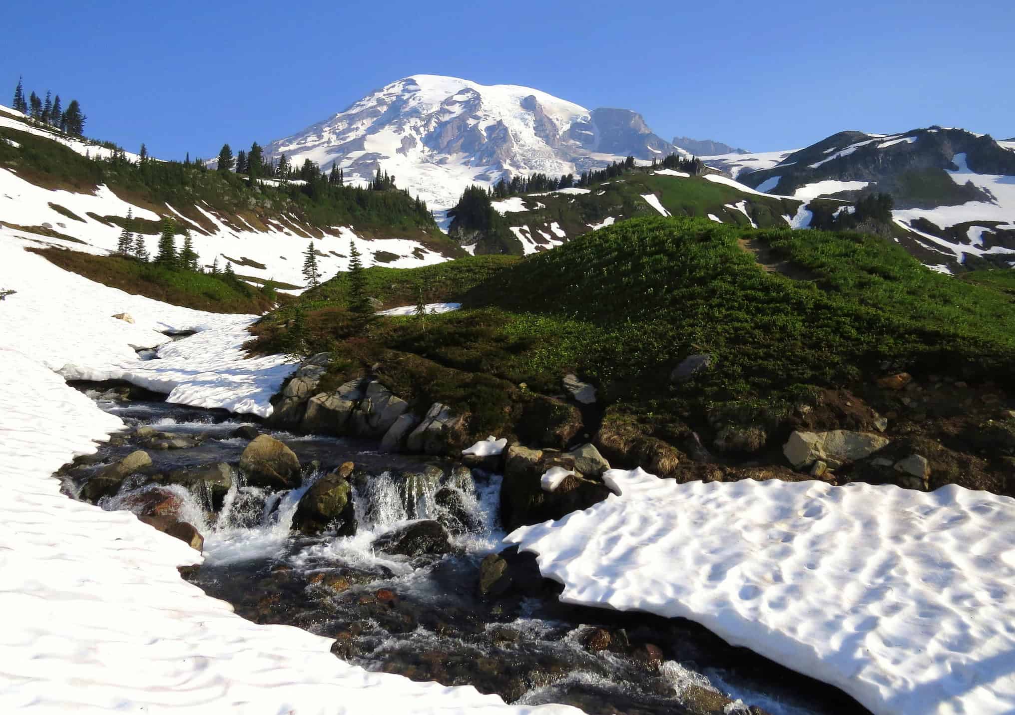 10 Ways To Experience Mt. Rainier This Spring
