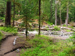 carbon river trail hq (3)