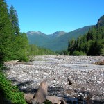 Carbon River with Carbon Ridge in background