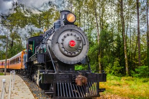 Steam Train at the Mt. Rainier Scenic Railroad