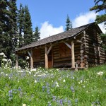 Flowers envelop the historic ranger station at Indian Henrys Hunting Ground