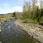 The Mashel River flows between Millpond and Smallwood parks replacement