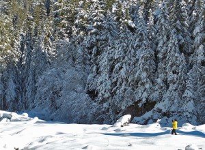 a snowshoer near the Nisqually River