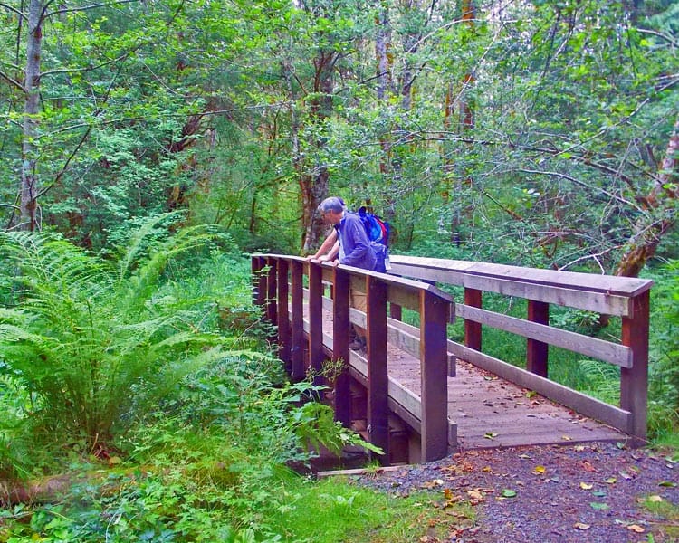 Woods Creek Watchable Wildlife Trail