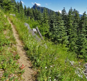 a traverse across old cuts high on Osborne Mountain