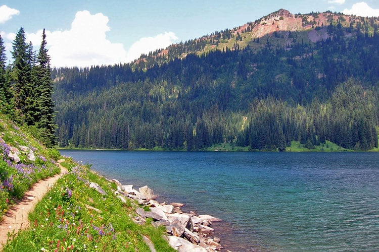 Cougar Lakes via the PCT