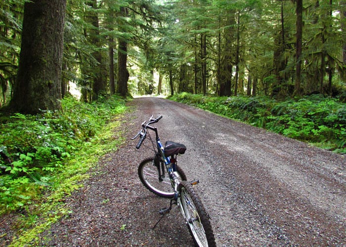 Mountain Biking at the Carbon River Road
