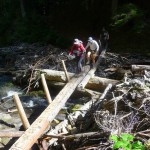 hikers and wonderland trail bridge near martha falls