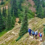 hikers pct