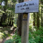 signs point the way through forest