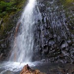 the waterfall martha falls