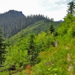 trail skirts beneath Allen Mountains summit