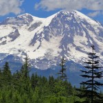 view of Mount Rainier from Teely Creek Trailhead
