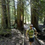 running through an ancient cedar grove on the Moss Lake Loop