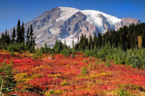 Mount Rainier Rainier Fall Color