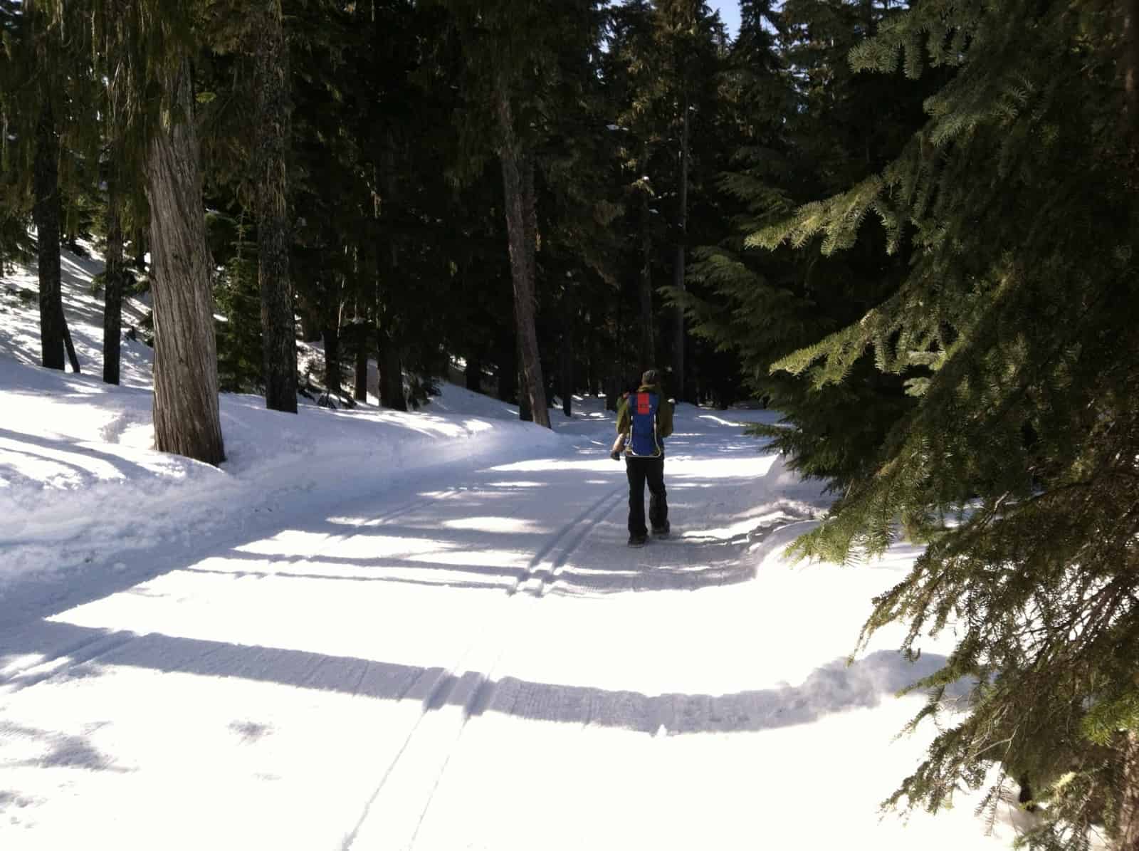 Nordic Ski at White Pass