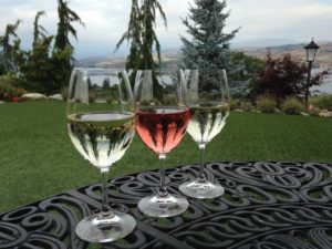 Plateau Wines