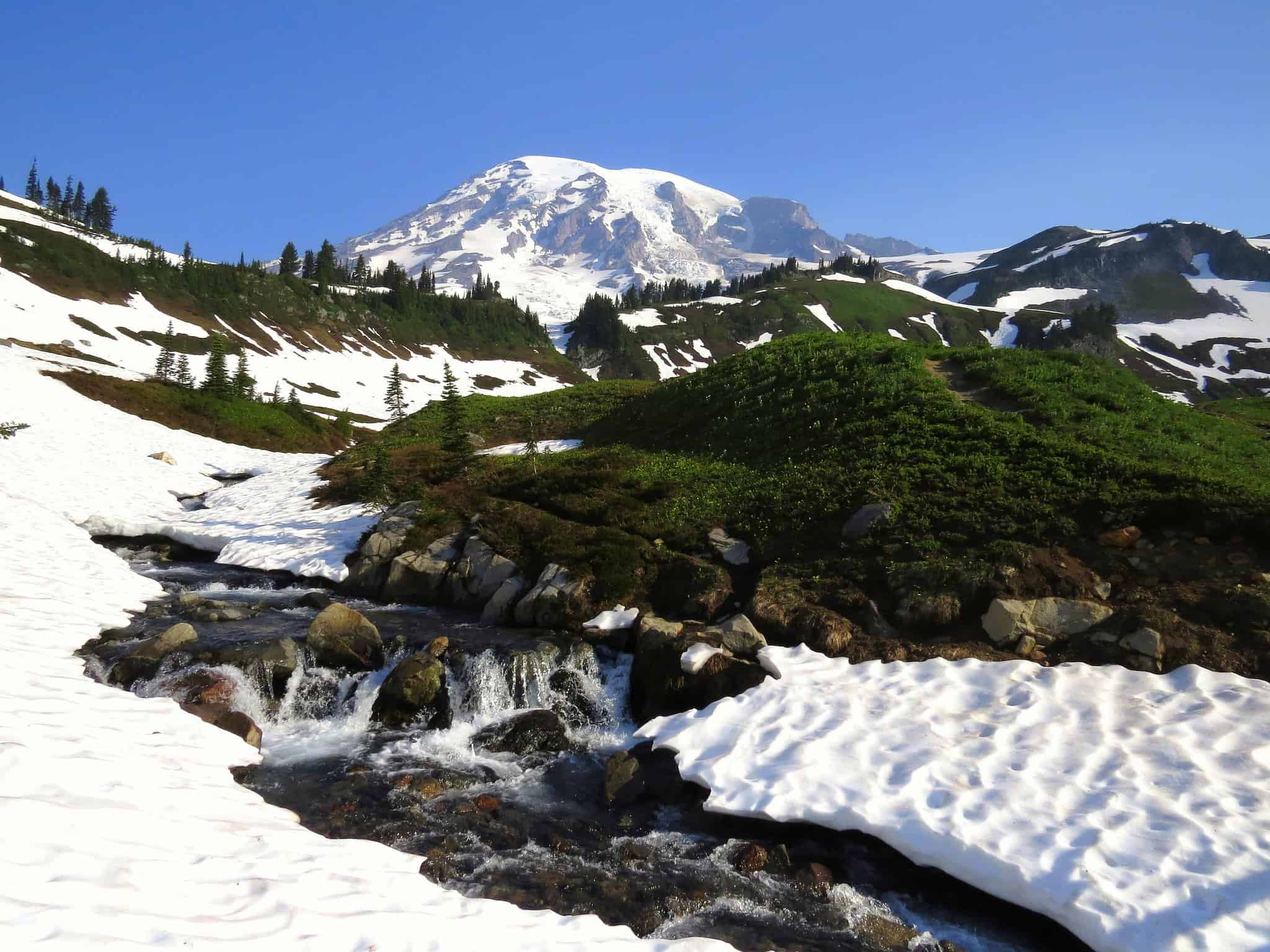 Visit Mount Rainier virtually!