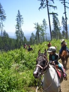 Guided trail ride by Echo River Ranch