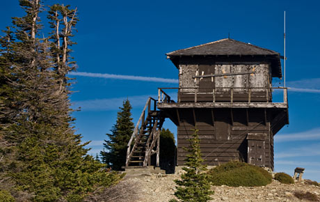 fire lookout tolmie