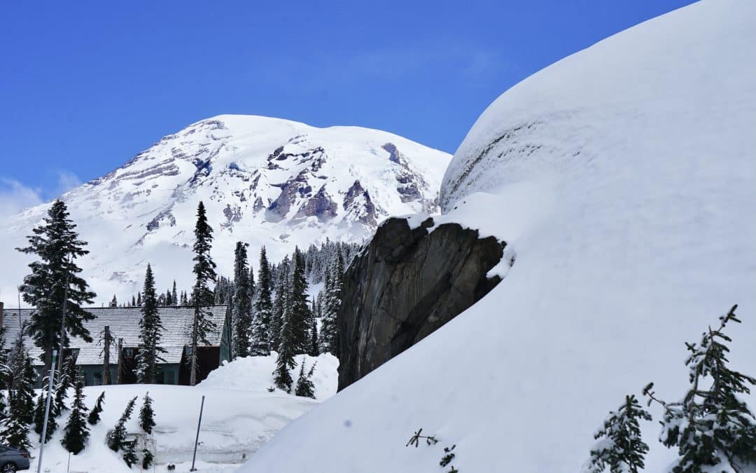 Spring Visits | Tips from MRNP