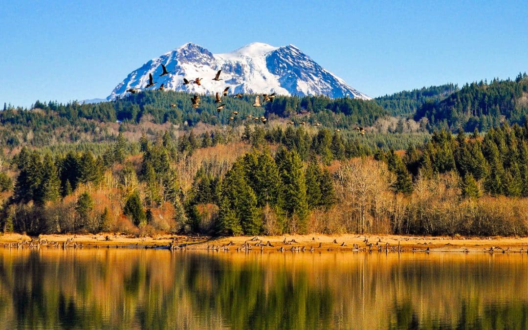 Mount Rainier: Best of Fall Season